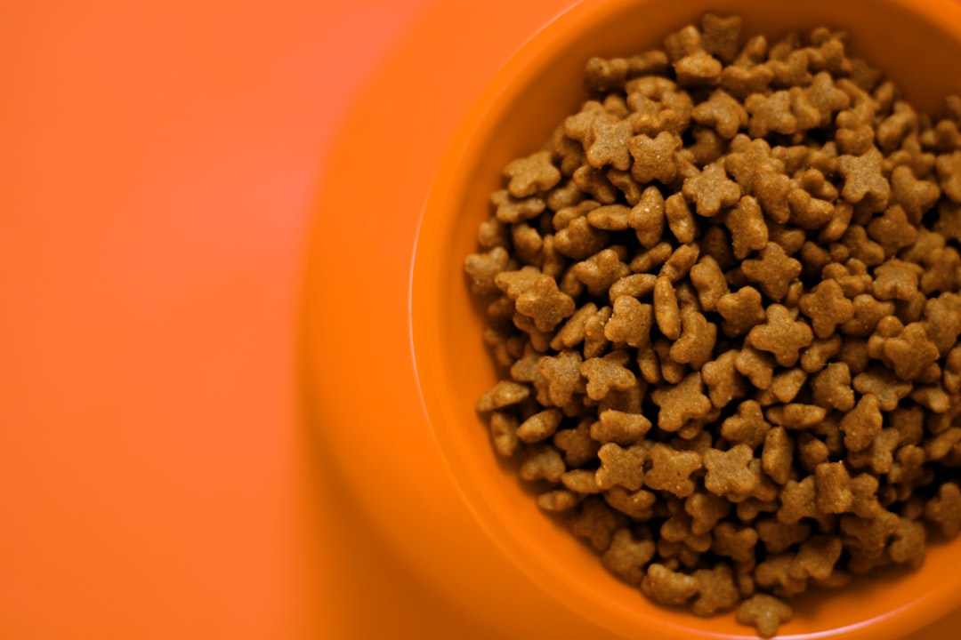 Grain-Free_Cat_Food