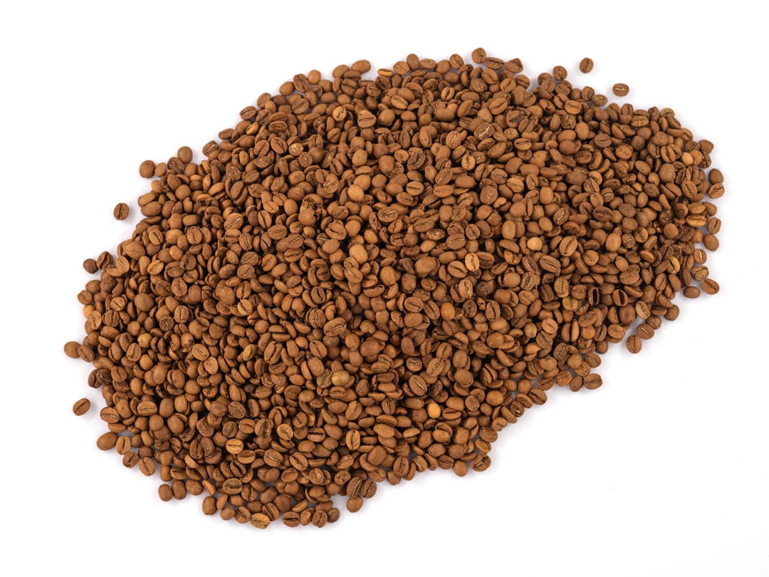 Grain-Free_Cat_Food