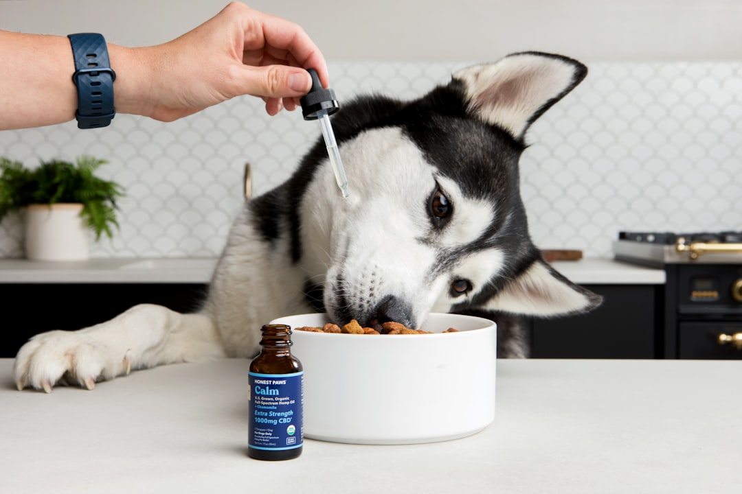 Prescription_Dog_Food