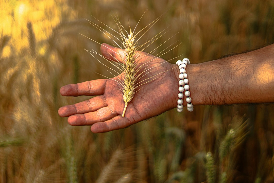 How_to_Quickly_Develop_a_Patina_on_a_Bodhi_Seed_Bracelet_A_C